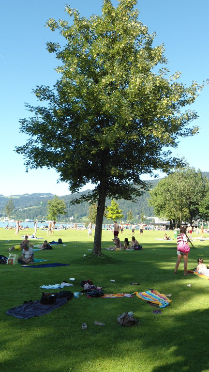 DSC06218_JPG-1309893219