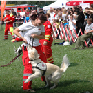 Donauinselfest 09: Die Rettungsinsel