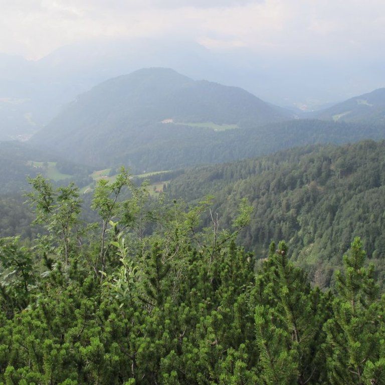normal_05072011ubergffsalzburgsberge_007.jpg