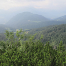 normal_05072011ubergffsalzburgsberge_007.jpg