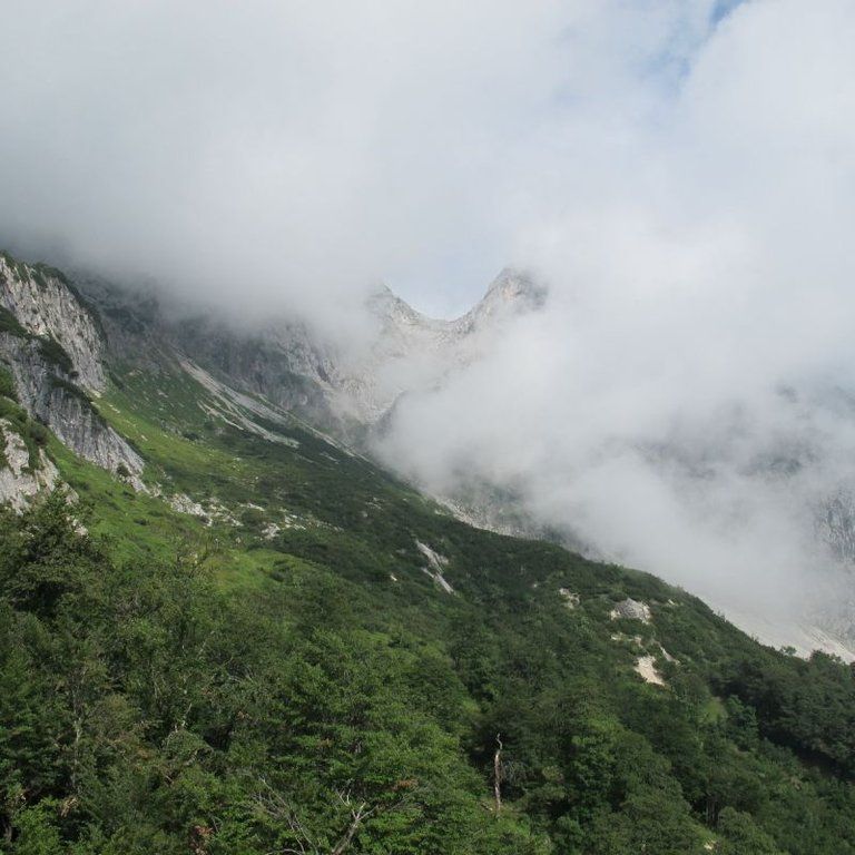 normal_05072011ubergffsalzburgsberge_009.jpg