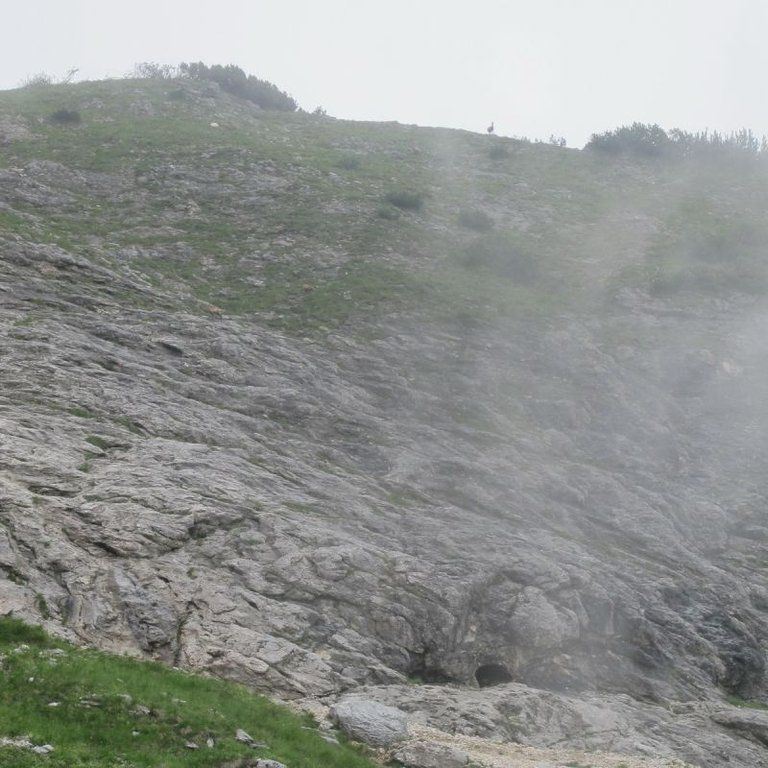 normal_05072011ubergffsalzburgsberge_013.jpg