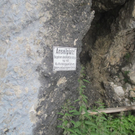 normal_05072011ubergffsalzburgsberge_014.jpg