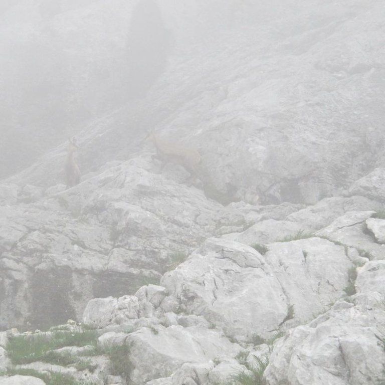 normal_05072011ubergffsalzburgsberge_016.jpg