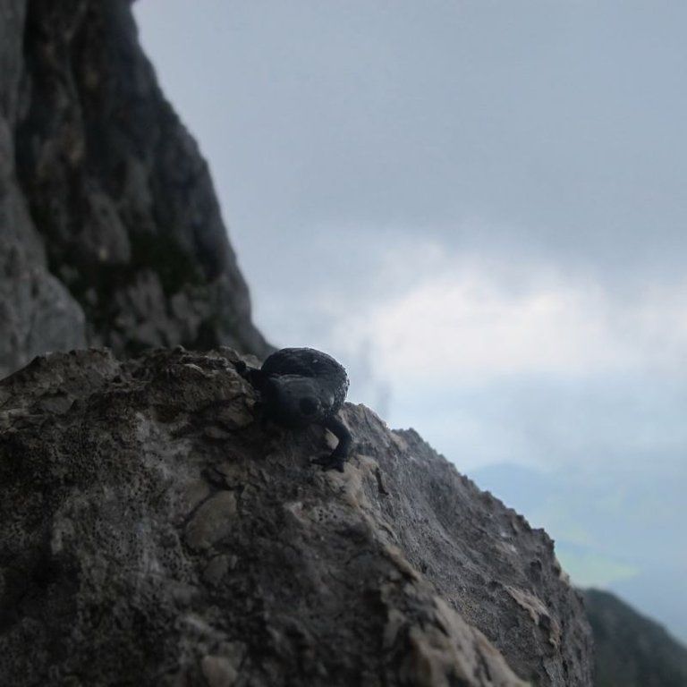 normal_05072011ubergffsalzburgsberge_020.jpg