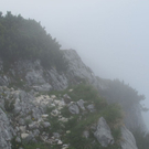 normal_05072011ubergffsalzburgsberge_077.jpg