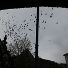 koe_Kl__ppel-Katzenturm _15_.jpg
