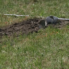normal_06072011flugzeugffaktivnews_076.jpg