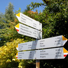 Wanderregion Pfänderrücken - Symbolfotos