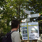 Wanderwege Warte Treffen Symbol 2011 _15__JPG-1309982002