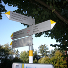 Wanderwege Warte Treffen Symbol 2011 _8__JPG-1309981900