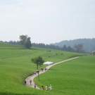 Wanderwege Warte Treffen Symbol 2011 _22__jpg-1309982091