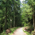 Wanderwege Warte Treffen Symbol 2011 _23__jpg-1309982112