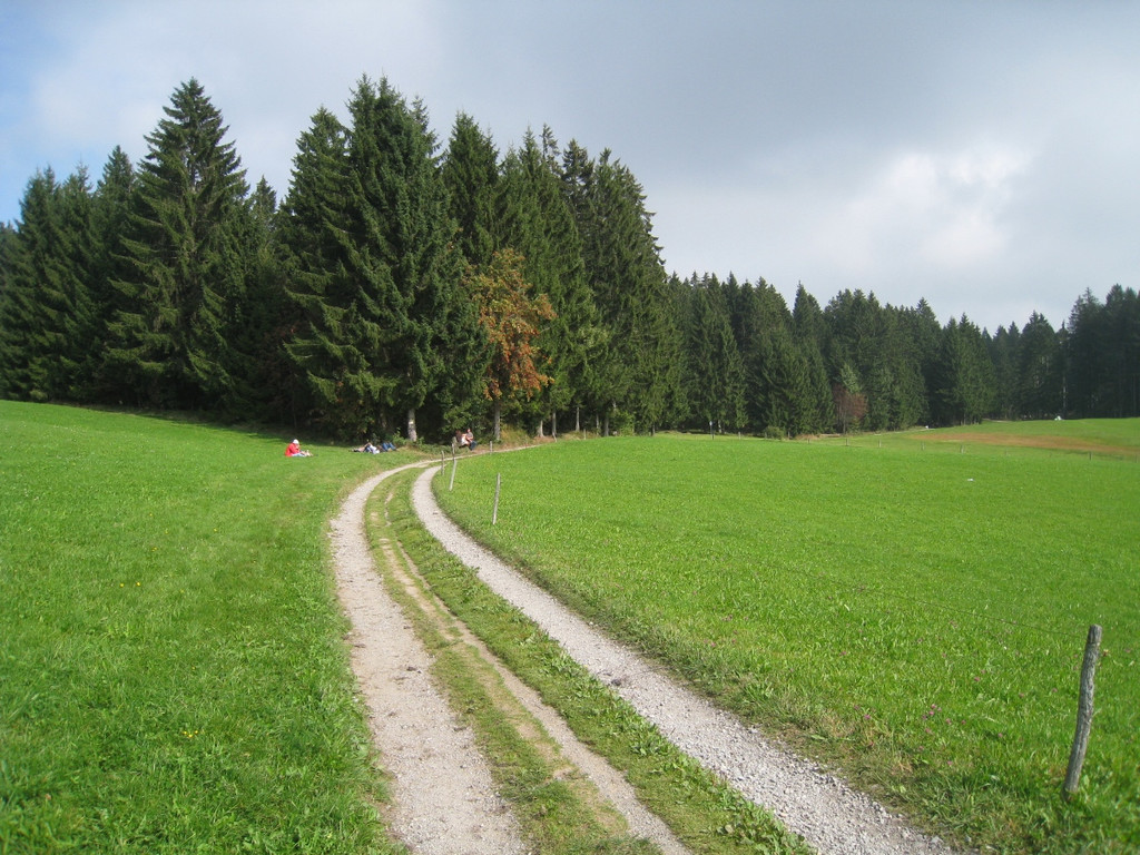 Wanderwege Warte Treffen Symbol 2011 _24__jpg-1309982129