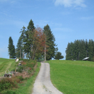 Wanderwege Warte Treffen Symbol 2011 _26__jpg-1309982160