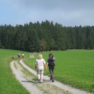 Wanderwege Warte Treffen Symbol 2011 _27__jpg-1309982177