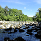 DSC00041_JPG-1309983395