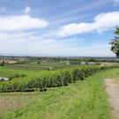 DSC00042_JPG-1309983471