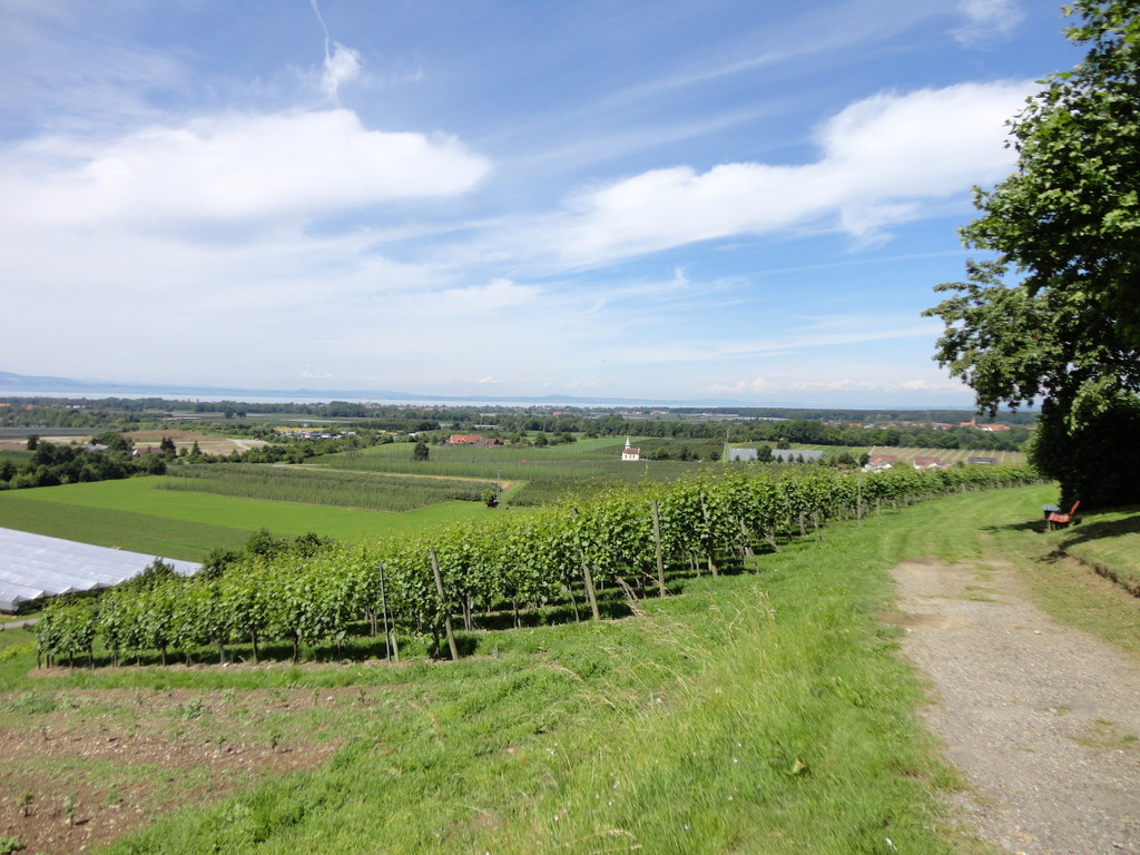DSC00042_JPG-1309983471