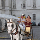 IMG_1381.jpg