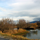 IMG_0427.JPG
