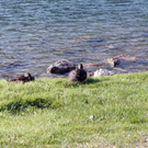normal_07072011seewetterffaktivnews_13.jpg