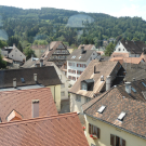 DSC06285.JPG