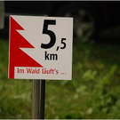 20110707_konzertlauf_358_luc.JPG