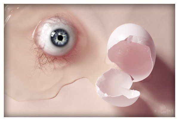 eggs-eye.jpg