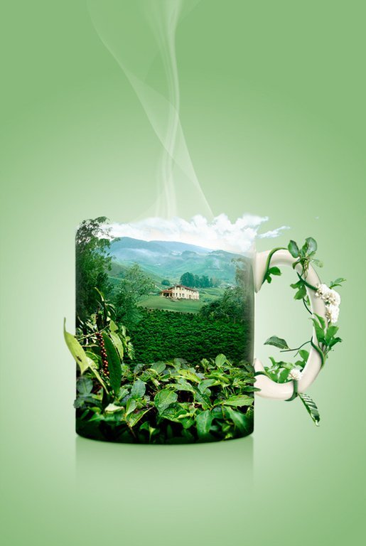 Photo-Manipulation23.jpg
