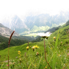 KOE_Wandertipp Pf__lzer H__tte 3_jpg-1310072861