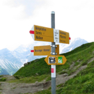 KOE_Wandertipp Pf__lzer H__tte 4_jpg-1310072866