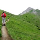 KOE_Wandertipp Pf__lzer H__tte 7_jpg-1310072886