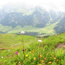 KOE_Wandertipp Pf__lzer H__tte 14_jpg-1310072933