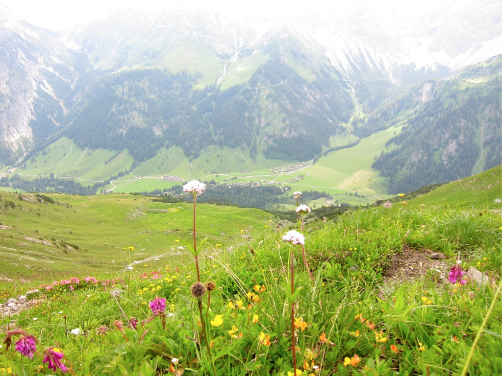 KOE_Wandertipp Pf__lzer H__tte 14_jpg-1310072933