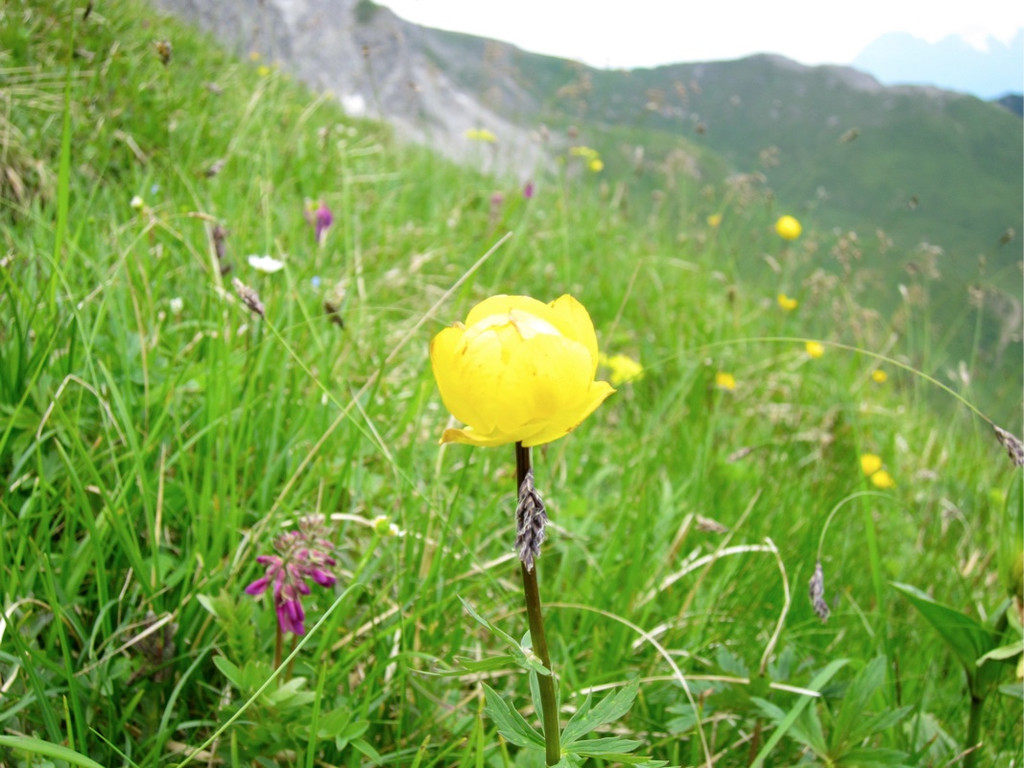 KOE_Wandertipp Pf__lzer H__tte 15_jpg-1310072939