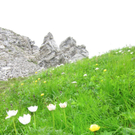 KOE_Wandertipp Pf__lzer H__tte 19_jpg-1310072970
