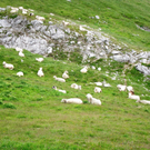 KOE_Wandertipp Pf__lzer H__tte 28_jpg-1310073037