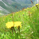 KOE_Wandertipp Pf__lzer H__tte 36_jpg-1310073113