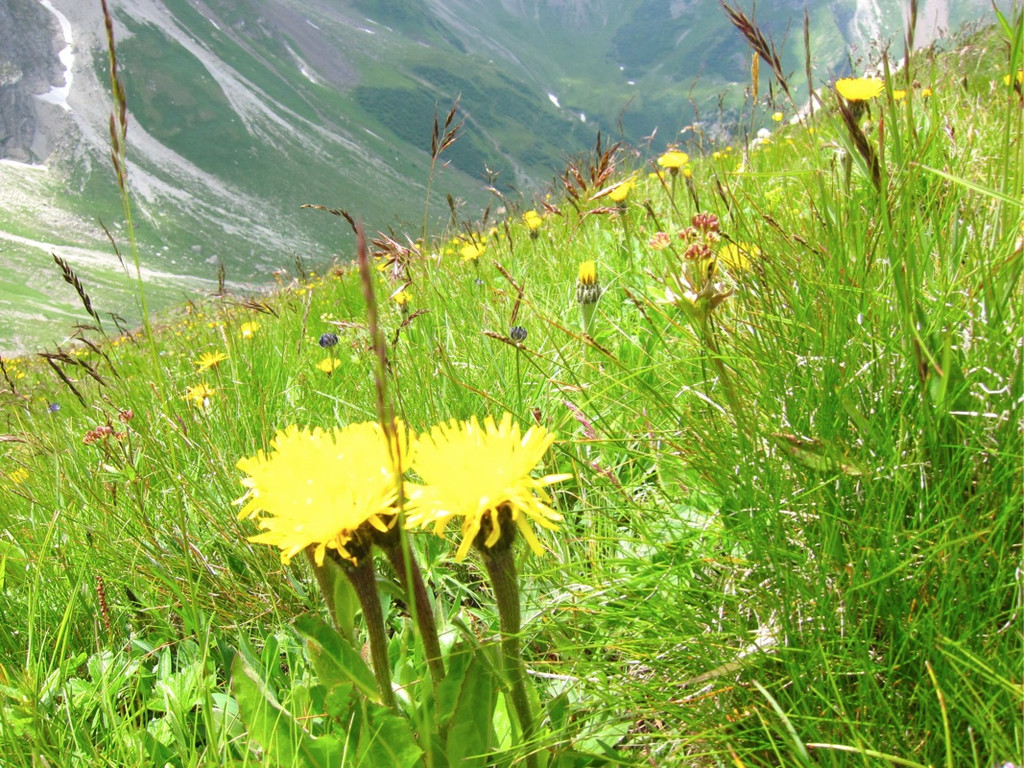 KOE_Wandertipp Pf__lzer H__tte 36_jpg-1310073113