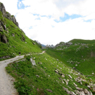 KOE_Wandertipp Pf__lzer H__tte 51_jpg-1310073244