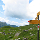 KOE_Wandertipp Pf__lzer H__tte 54_jpg-1310073266