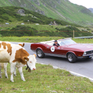 Silvretta Classic113.jpg