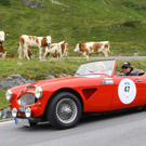 Silvretta Classic110.jpg
