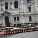IMG_1685.JPG