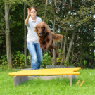Weitsprung_jpg-1310110439