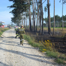 NÖ/ Bez. Neunkirchen: Waldbrand in St. Egyden Saubersdorf