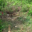 normal_07072011mordischlktaktivnews_3.jpg