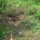 normal_07072011mordktaktivnews _5_.jpg