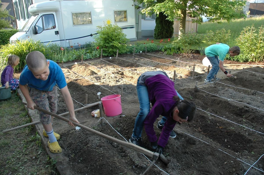 tolle_Knolle_1_Garten.JPG